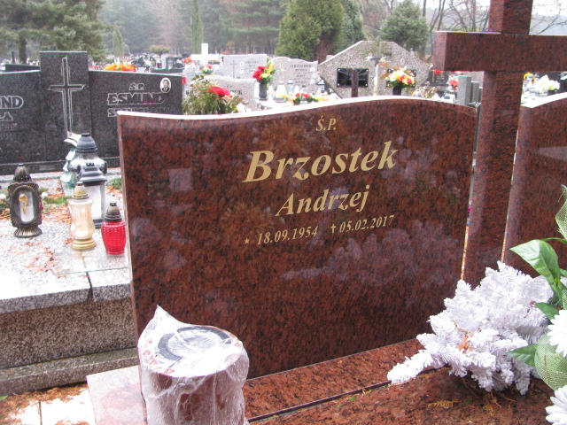 Andrzej Brzostek 1954 Jaworzno - Grobonet - Wyszukiwarka osób pochowanych