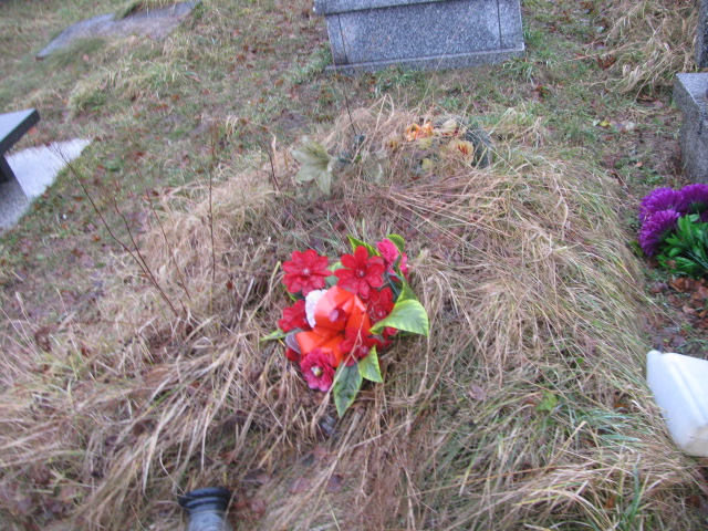  NN Jaworzno - Grobonet - Wyszukiwarka osób pochowanych