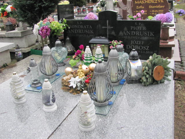 Grób Władysława Dobosz