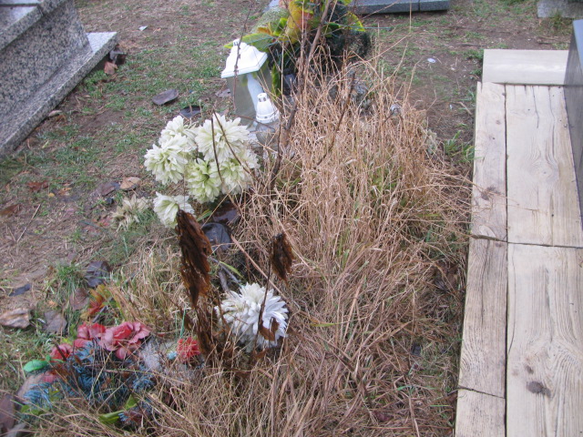 Władysław Wierzbik 1921 Jaworzno - Grobonet - Wyszukiwarka osób pochowanych