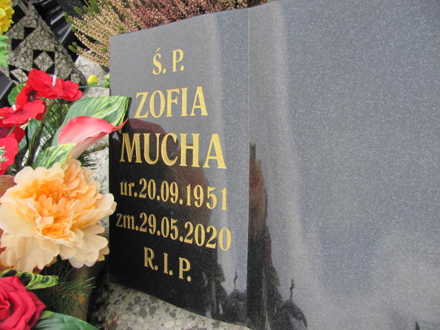 Zofia Mucha 1951 Jaworzno - Grobonet - Wyszukiwarka osób pochowanych