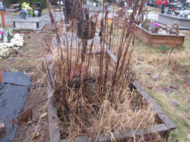 Grób Jadwiga Tomczyk