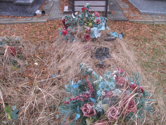  NN Jaworzno - Grobonet - Wyszukiwarka osób pochowanych