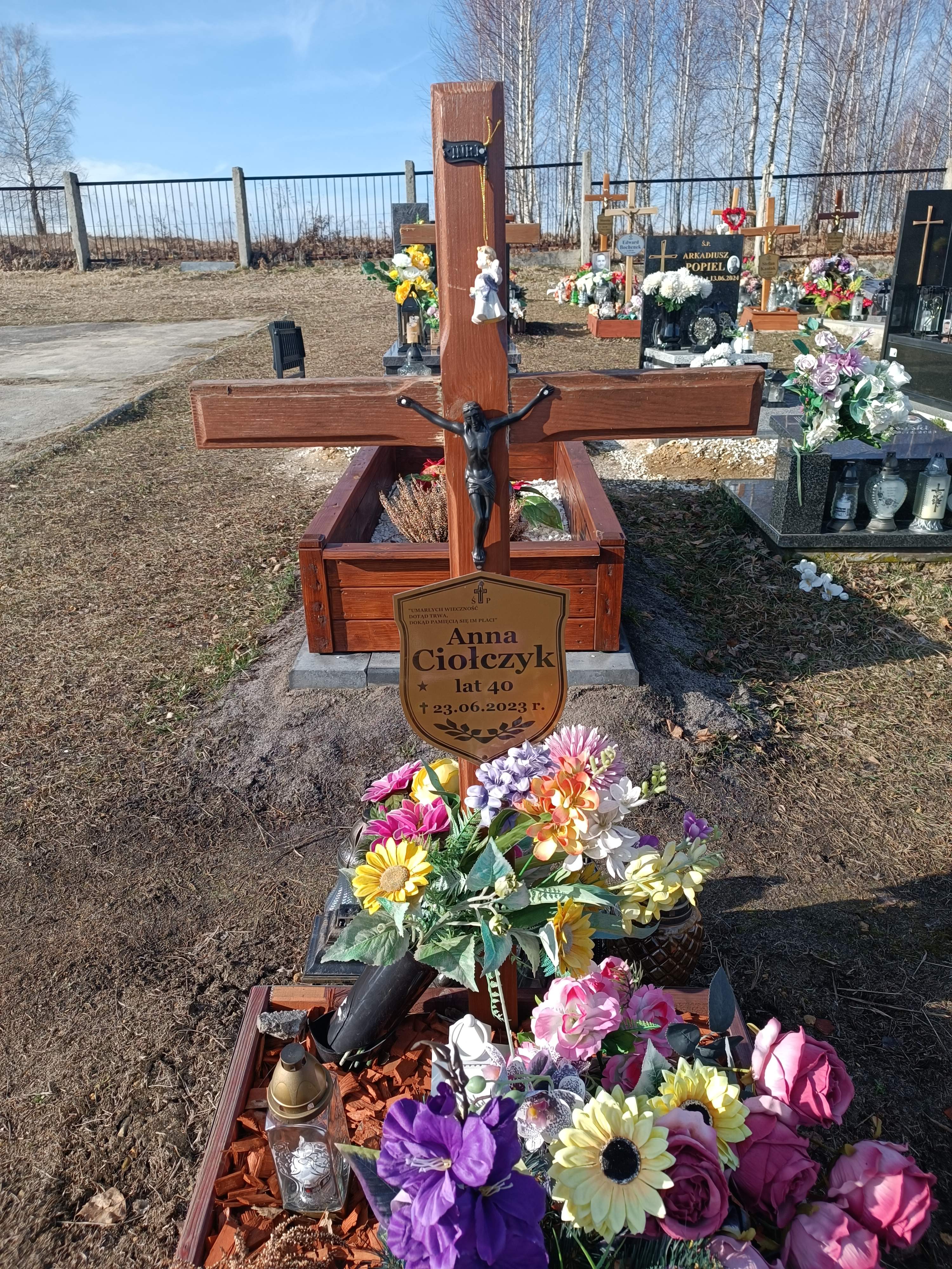 Anna Ciołczyk 1983 Jaworzno - Grobonet - Wyszukiwarka osób pochowanych