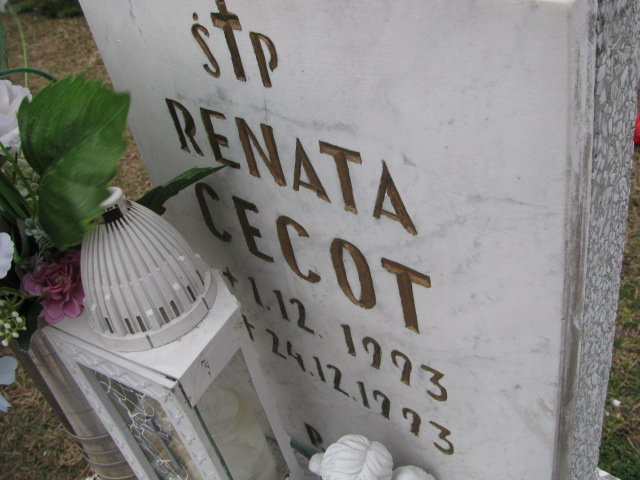 Renata Cecot 1993 Jaworzno - Grobonet - Wyszukiwarka osób pochowanych