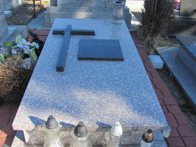 Grób Ignacy Patucha