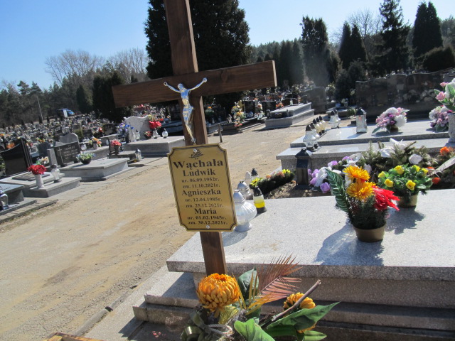 Agnieszka Wąchała 1985 Jaworzno - Grobonet - Wyszukiwarka osób pochowanych