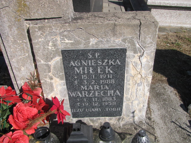 Agnieszka Miłek 1911 Jaworzno - Grobonet - Wyszukiwarka osób pochowanych